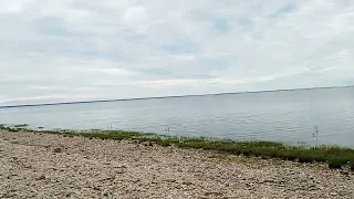 Берег озера Ильмень, д. Коростынь Старорусского района.