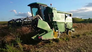 La treierat rapita/Threshing rapeseed John Deere 1055