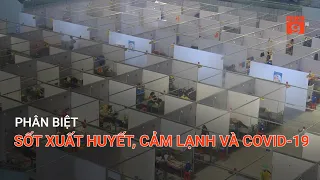 PHÂN BIỆT SỐT XUẤT HUYẾT, CẢM LẠNH VÀ COVID-19 | VTC9