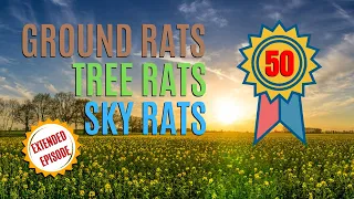 Ground Rats, Tree Rats, Sky Rats - Air Rifle Pest Control