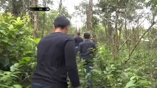 Pencarian Napi Yang Kabur di Perkebunan Warga