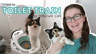 I Tried to Toilet Train my Rescue Cat!