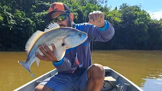 ERA 1 PEIXE MAIS BRUTO QUE O OUTRO , PESCARIA DE CORVINA COM ISCA VIVA