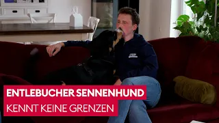 Bruno maßregelt seine Besitzer | Der Hundeprofi