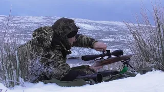 435 Yard Crow In The Frost and Snow