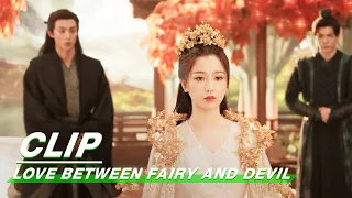 Qingcang Restoration Palace | Love Between Fairy and Devil EP33 | 苍兰诀 | iQIYI