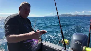 Offshore fishing Episode 18 -  Cam and TK head back to Waihau bay, but the swordfish wins this one