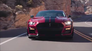 Mustang Shelby GT500 2020 The Most Powerful Mustang Ever for Street Track or Drag Strip