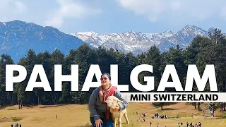 ఇక్కడ ఉంటే 6కాదు12Pack పక్కా 🙏 చచ్చేంత భయపడ్డా ll Pahalgam Most Beautiful Place In India ll iSmart