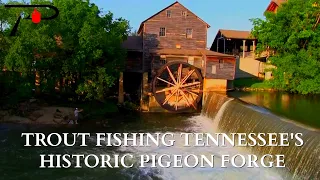 Trout Fishing Tennessee's Pigeon Forge