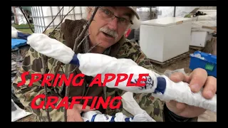 How to Graft Apple Trees with a Grafting Tool in Spring