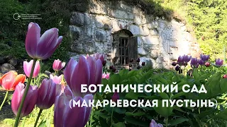 Ботанический сад (Макарьевская пустынь)