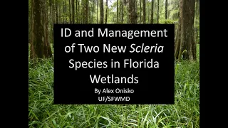 Scleria microcarpa: A Newly Discovered Invasive Species in Florida
