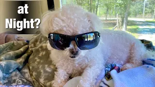 Sadie wears Sunglasses at Night?  RV Life [KTFG 481]