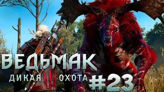 Прохождение Ведьмак 3: Дикая Охота (The Witcher 3: Wild Hunt) — Часть 23: Красный Бес