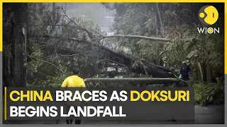 Typhoon Doksuri sweeps Fujian in China, uproot trees & create violent showers | WION Climate Tracker