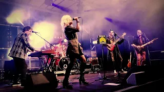 Totally Blondie Live Compilation