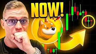 BONK ($BONK) Token Price Update - THE PUMP IS NOW!?