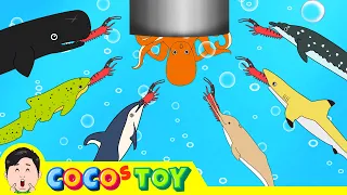 Whales live under the wash basinㅣwhales animation, whales adventureㅣCoCosToy