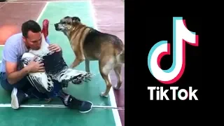 Jealous Dog! Animal TikTok VIDEO COMPILATION #32