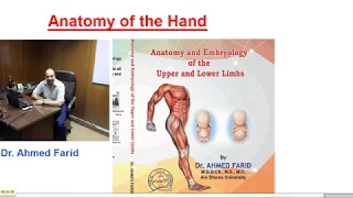 Anatomy of the Hand (part 1), Palm of Hand - Dr. Ahmed Farid