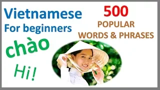 Vietnamese for Beginners | 500 Popular Words & Phrases | Learn by Example