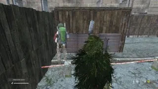 A normal day in Dayz