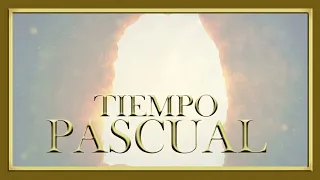 Homilía │Domingo de Pentecostés │19.05.2024│Pbro. Javier Martín FM│www.magnificat.tv│