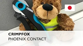 CRIMPFOX CENTRUS 10S from Phoenix Contact in 1 minute
