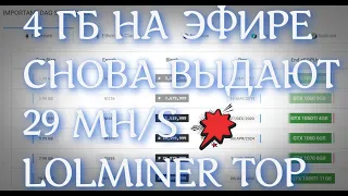 ЖИВЕ СНОВА 4 ГБ КАРТА В МАЙНИГЕ 29MH LOLMINER