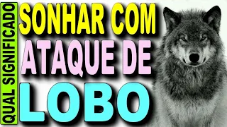 🔥 SONHAR COM ATAQUE DE LOBO JOGO DO BICHO, SONHAR COM LOBO NUMERO DA LOTERIA, SONHAR COM LOBO