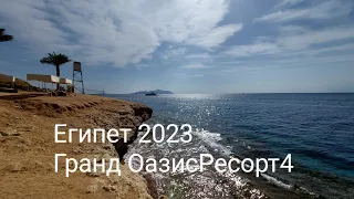 Grand Oasis Resort 4 , Египет Шарм эль Шейх 2023. Какие рыбки плавают в Красном море?