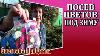 Какие цветы можно сеять под зиму и как правильно это сделать