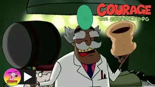 Courage The Cowardly Dog | The Transplant | Cartoon Network