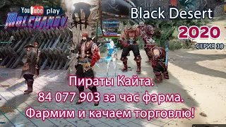 Пираты. Black Desert Фарм серебра 2020. Для новичков хорошо, и людей нету никого днем.