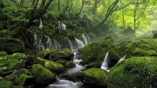 The Beauty Brought By The Waters - Stream River Waterfall Scenes - Natural Beauties