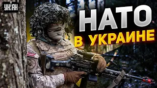 Когда ждать войска НАТО в Украине? Запад дал решительный ответ!