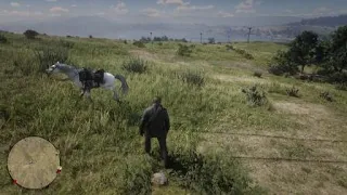 RDR2 - Mean Old Lady