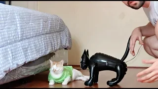 Pranking My CATS with a "FAKE CAT" Hilarious Reactions! 😂