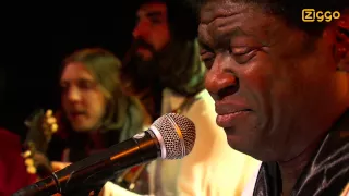 Charles Bradley - Love Bug Blues // Ziggo Live #33 (07-04-2013) [HD]