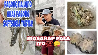 Tamang Paglinis at masarap na luto sa Ahas Pagong Softshell Turtle | Sobrang sarap pala nito💯