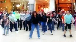 http://90daychallengewithcass.bodybyvi.com ViSalus Flashmob St  Louis 4 21 12