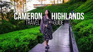 CAMERON HIGHLANDS | Complete Travel Guide  | Travel Malaysia