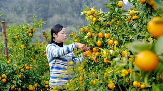 Use the peel and pulp of citrus fruits to make various delicacies ｜ 野小妹 wild girl