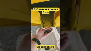 Auto Tire Recycling оборудование для производства резиновой крошки. #Shorts