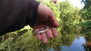 Рыбалка на малом боровом озере