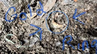 GOLD DIAMOND RING FOUND WITH OLD COINS IN AN OLD CREEK.