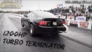 1200hp 76mm Turbo Terminator Cobra Goes Low 8s at World Cup!