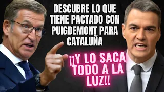 FEIJÓO DESQUICIA a SÁNCHEZ🔥¡AL DESVELAR LO QUE TRAMA CON PUIGDEMONT TRAS LAS ELECCIONES EUROPEAS!🔥