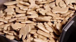 Take a look inside a 150-year-old animal cracker factory in Pennsylvania